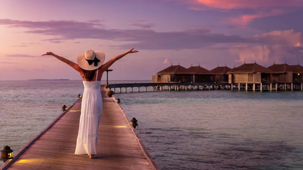 Upptäck Afrikas vilda äventyr